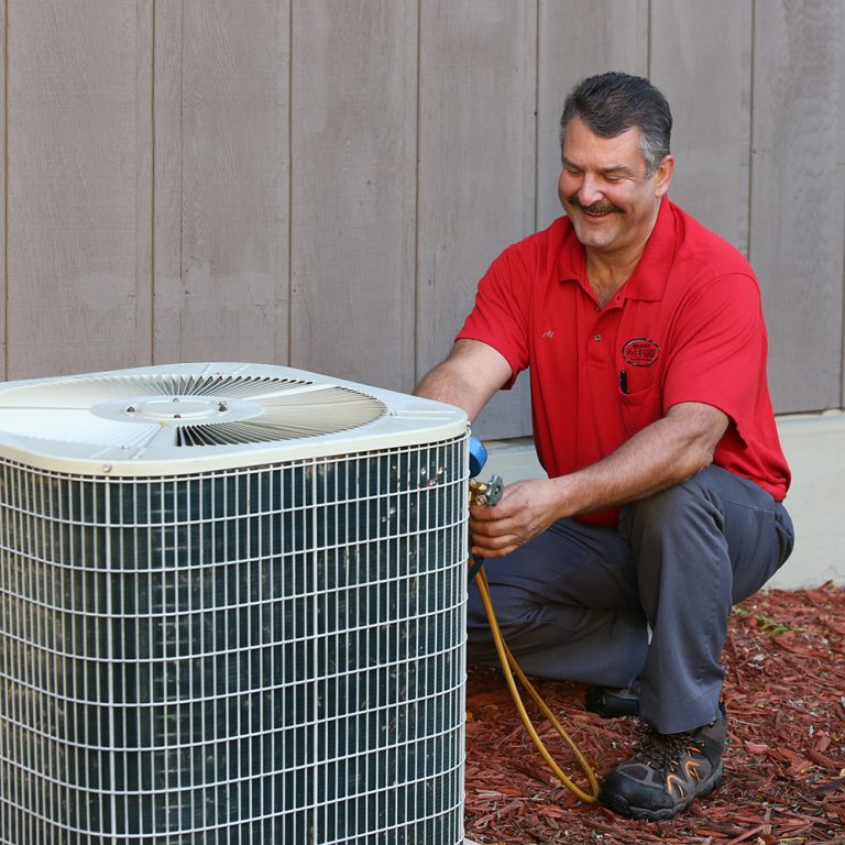 $59 ac tune up