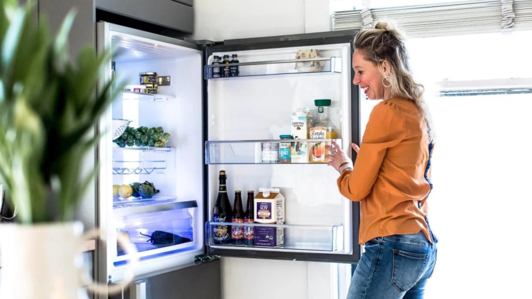 Freezer and Ice Maker Buyer's Guide